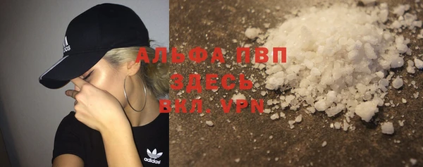 крисы Баксан