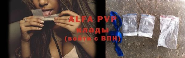 крисы Баксан