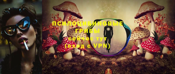 крисы Баксан