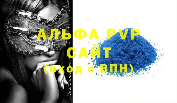 крисы Баксан
